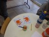 IMG_0558