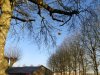 IMG_20230210_164242