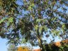 IMG_3741